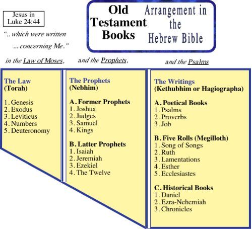 Old Testament (OT) Bible Book Order and Charts | Living Commentary ...