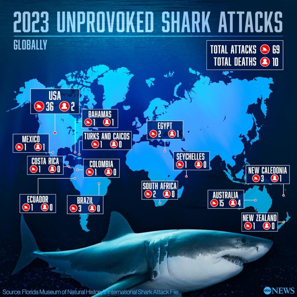 10 people killed in unprovoked shark attacks last year, report finds ...