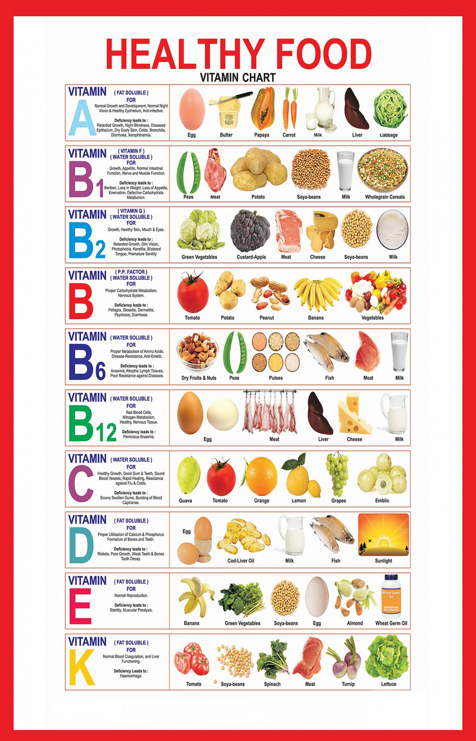 Nutrients Body List at Michael Crowell blog