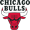 Chicago Bulls