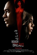 When the Bough Breaks Movie