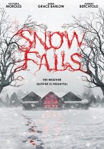 Snow Falls poster