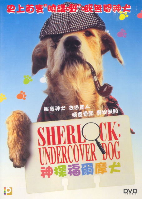 Sherlock Undercover Dog