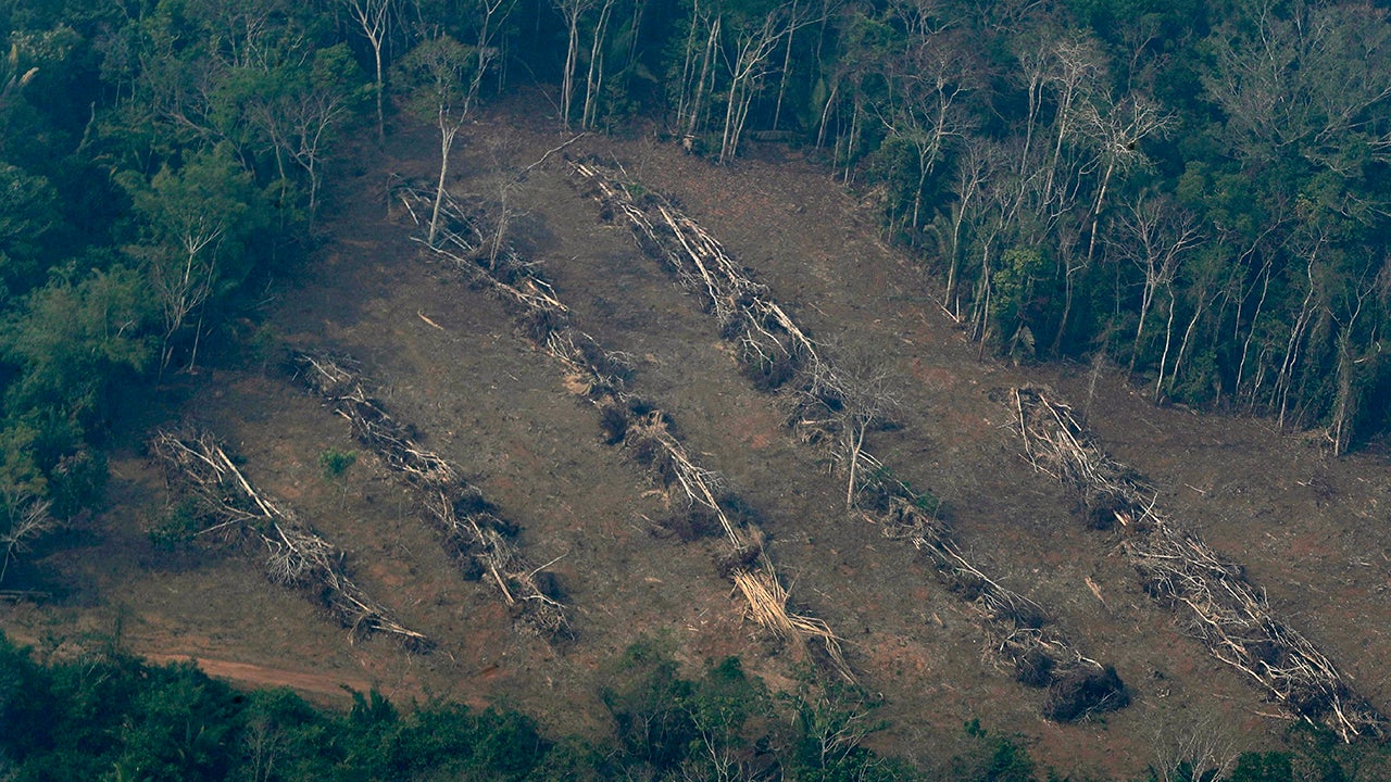 Deforestation Accelerates In Amazon Rainforest During Global Pandemic The Weather Channel Articles From The Weather Channel Weather Com