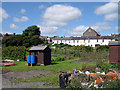 SN4220 : Park Hinds allotments by John Duckfield