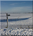 TL9864 : Suffolk snow scene by Andrew Hill