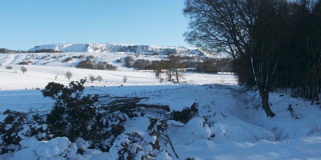 The edge of Barr Wood