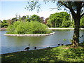 SP1392 : Lakeside and Island, Pype Hayes Park by Michael Westley