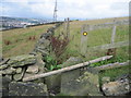 SE1024 : Footpath towards Higgin Lane, Southowram by Chris Wimbush