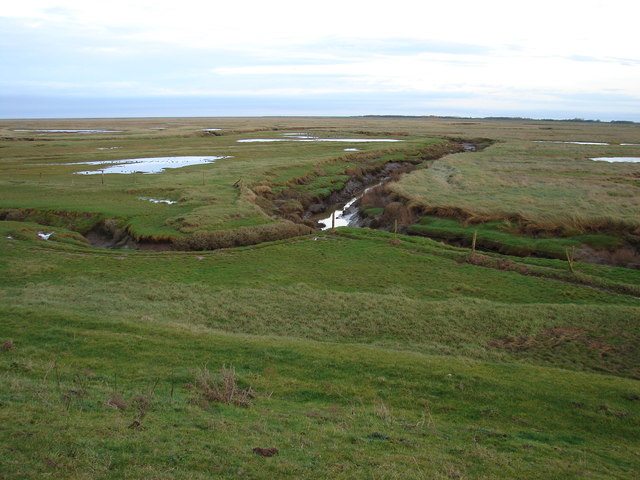 Salt Marsh near the River Welland