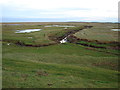 TF3434 : Salt Marsh near the River Welland by Ian Paterson