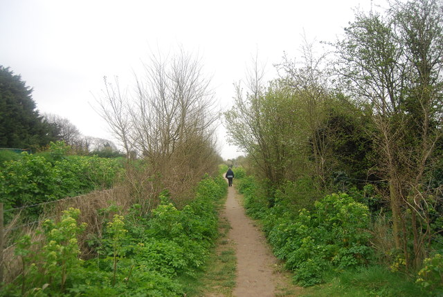 Thanet Coastal Path