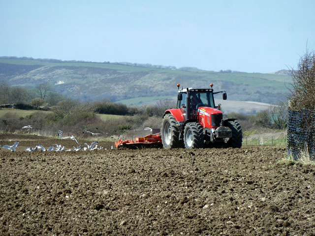 Harrowing the field