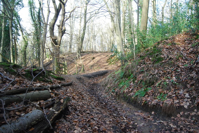 Bridleway, Unsted Wood