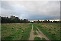 TL4759 : Fen Rivers Way, Stourbridge Common by N Chadwick