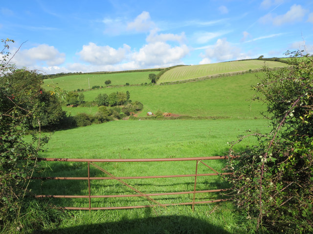 Steep pasture east of Manor Farm