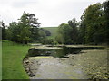 SY5888 : Bridehead Lake by Jonathan Thacker