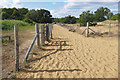 SU8440 : Sandy tracks, Frensham Common by Alan Hunt