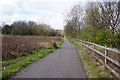 SK3887 : Trans Pennine Trail towards Cricket Houses by Ian S