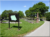 SJ3693 : Anfield Cemetery by Eirian Evans