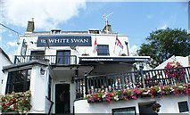 TQ1673 : View of The White Swan pub on Riverside by Robert Lamb