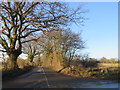 TL5801 : Woolmongers Lane, near Stondon Massey by Malc McDonald