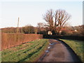 TL5804 : Norton Lane, near Ongar by Malc McDonald