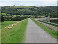 ST4353 : Path around Cheddar reservoir by Malc McDonald