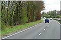 SX7160 : Eastbound A38 near Stidston by David Dixon