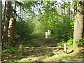 SU8839 : Path into woodland near Rushmoor by Malc McDonald