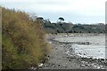 SX9983 : A splash of colour on a grey Christmas Day on the Exe estuary by David Smith