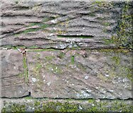 SJ3693 : Ordnance Survey Cut Mark by Adrian Dust