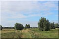 TL5166 : Fen Rivers Way along The Washes by Chris Heaton