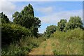 TL5268 : Fen Rivers Way between River Bank and Swaffham Lock by Chris Heaton