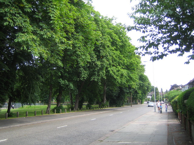 Luton: Old Bedford Road