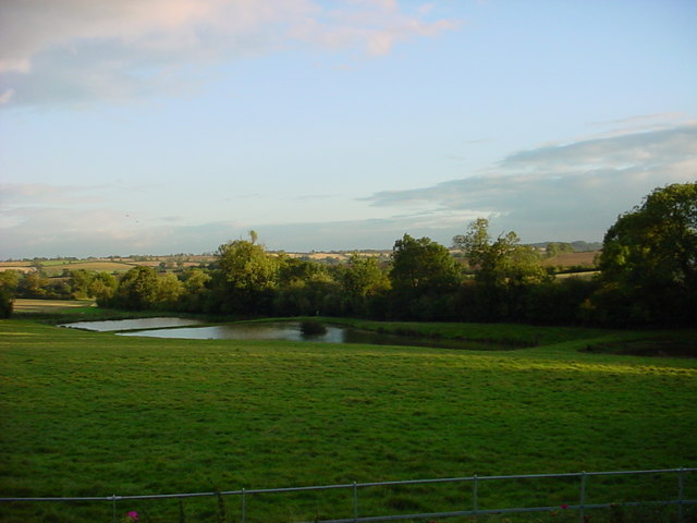 The fish ponds