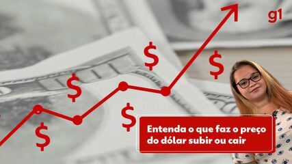 Entenda o que faz o preço do dólar subir ou cair