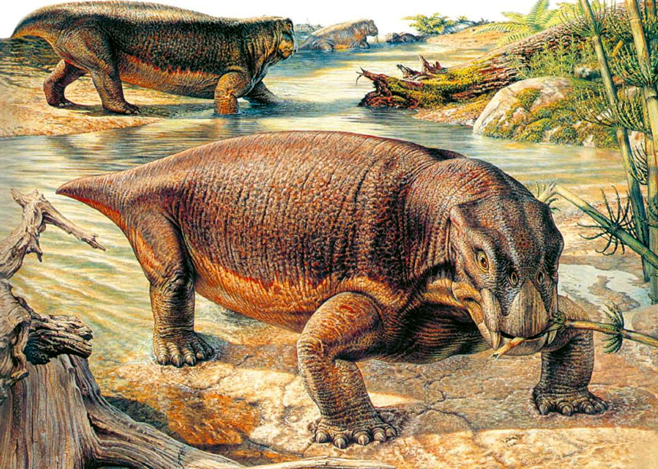 Organisms And Environment Triassic Period