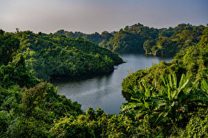 Fonds d'écran Forêt Rivières Bangladesh, jungle