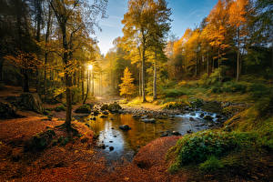 Fonds d'écran Allemagne Automne Rivières Pierres Arbres Feuille Nature