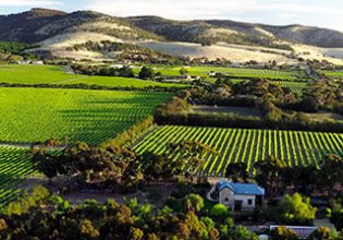 The Old Chaff Mill Organic Vineyard Retreat, South Australia