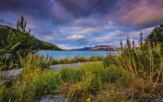 Wallpaper Lake Tekapo, New Zealand, pebbles, clouds, mountains, grass