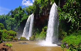 Argentine, Iguazu, la nature, l'eau, les roches, les arbres