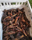 SALE PISANG GORENG CRISPY LEGIT ENAK 500GR - 2