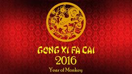 2016 Year of Monkey