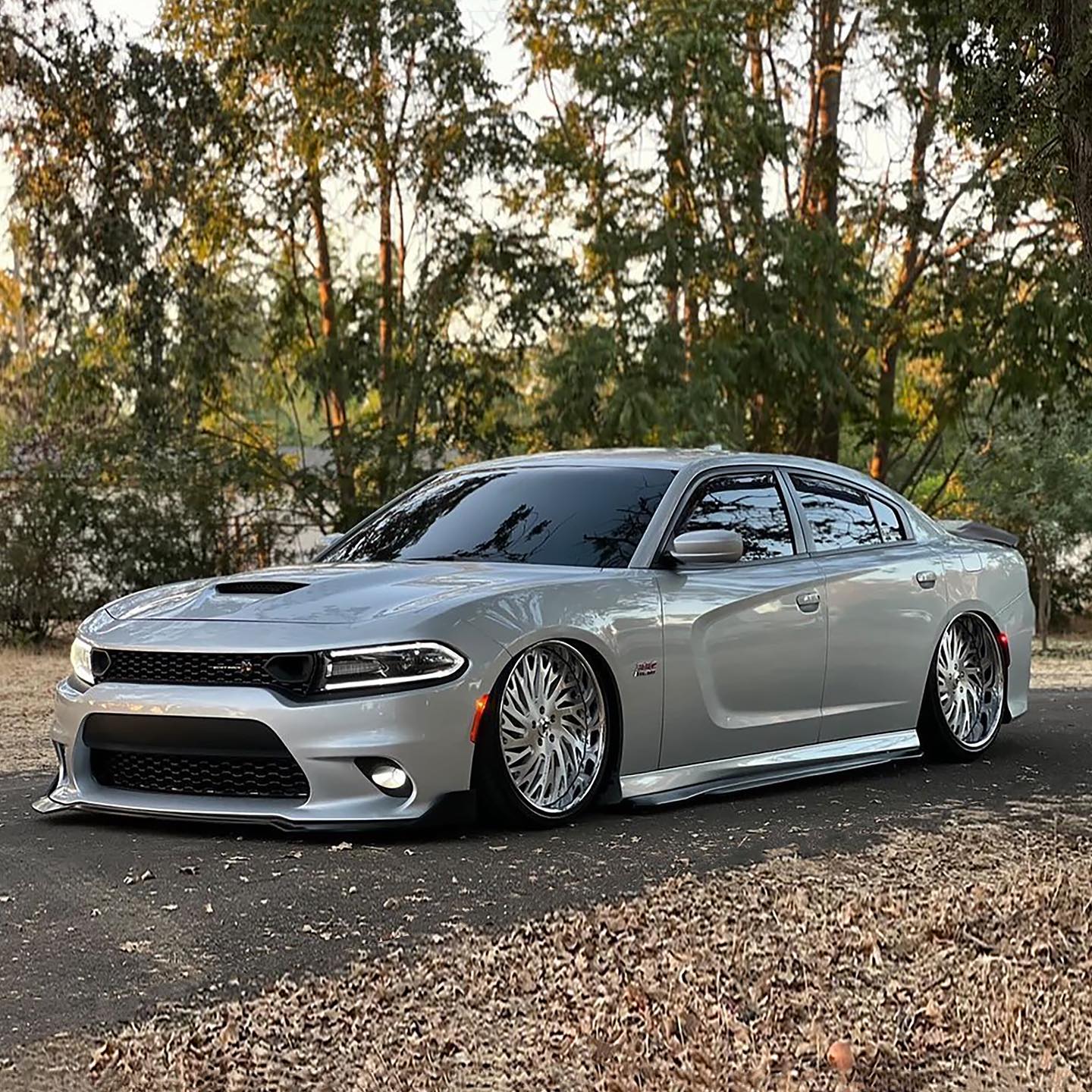 Stanced Dodge Charger