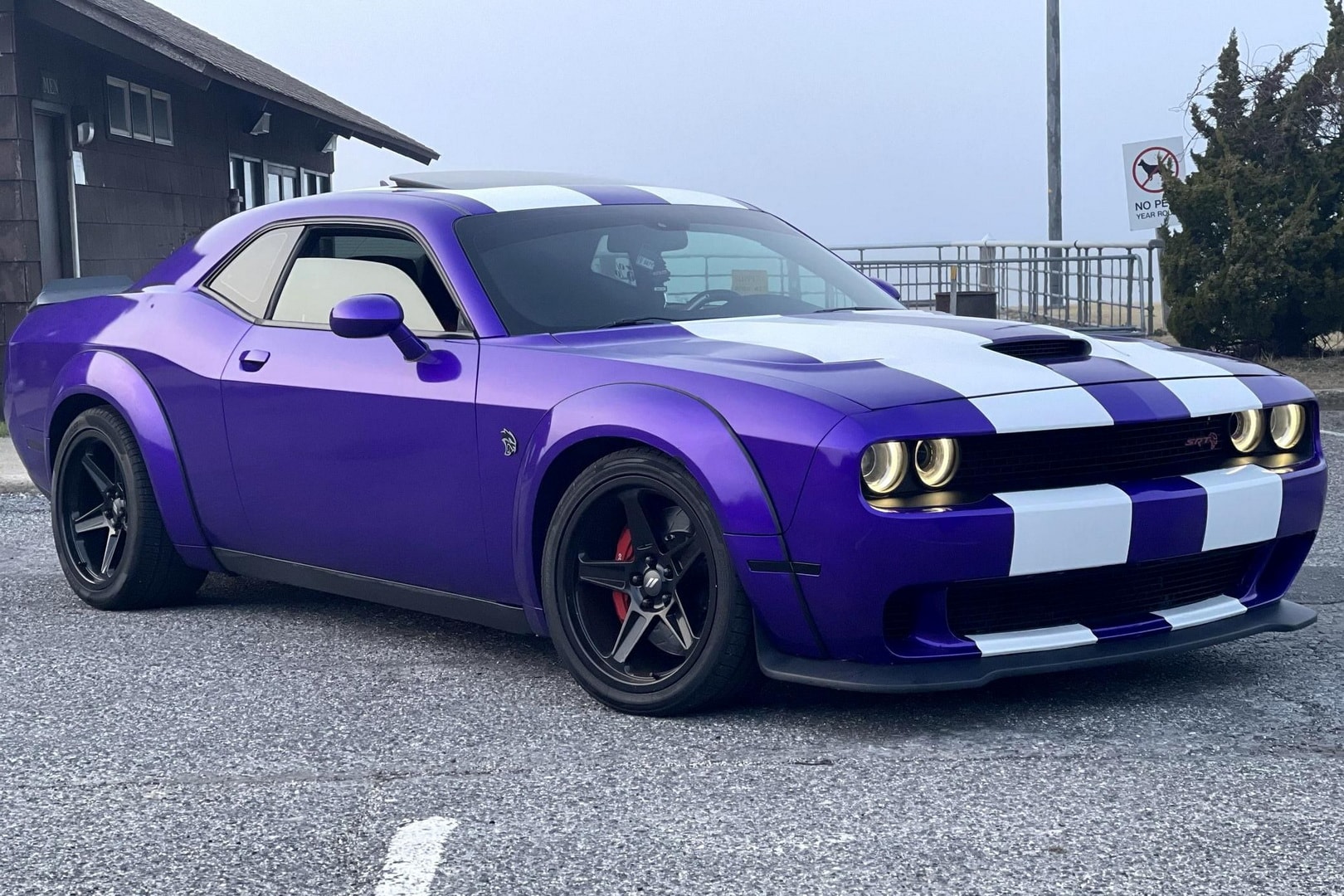 Plum Crazy Dodge Challenger Hellcat Gets Wheels With, 60% OFF