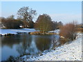 SO5825 : Winter pond scene near Bridstow by Jonathan Billinger