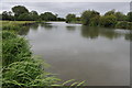 SP4306 : River Thames near Pinkhill Lock by Philip Halling