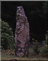  : Engraved standing stone in front of Museum by chris whitehouse